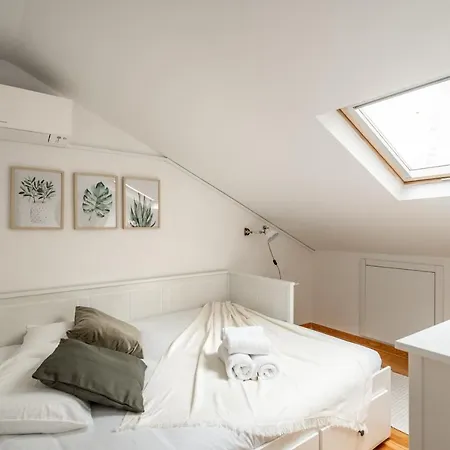 Akicity Anjos Splendid